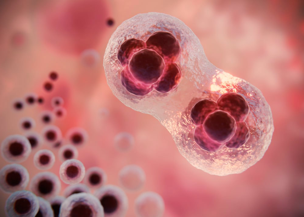 Екзосоми REJUSOME для омолодження шкіри на рівні клітин 2 Екзосоми REJUSOME для омолодження шкіри на рівні клітин - Фото 1