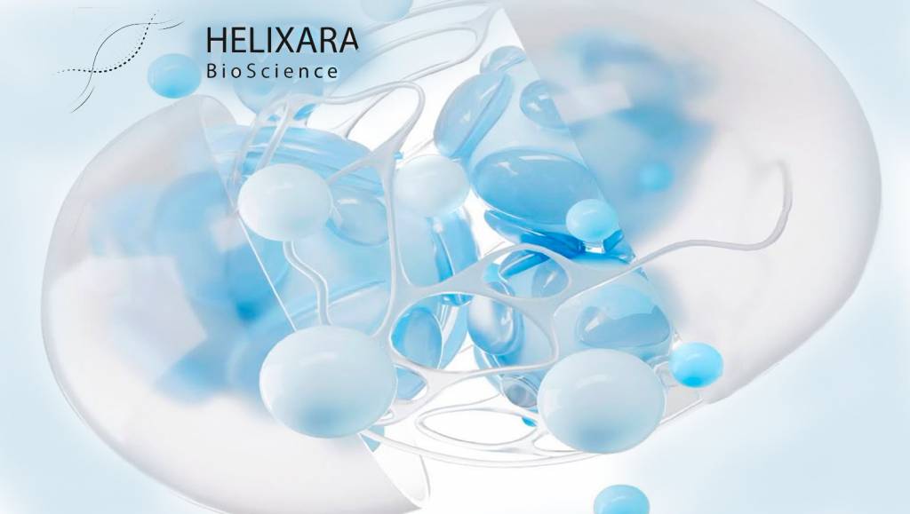 Що таке MOTS-c і як він працює: механізм дії на клітинному рівні 2 Що таке MOTS-c і як він працює: механізм дії на клітинному рівні - Фото 1